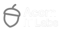 Acorn IT Labs